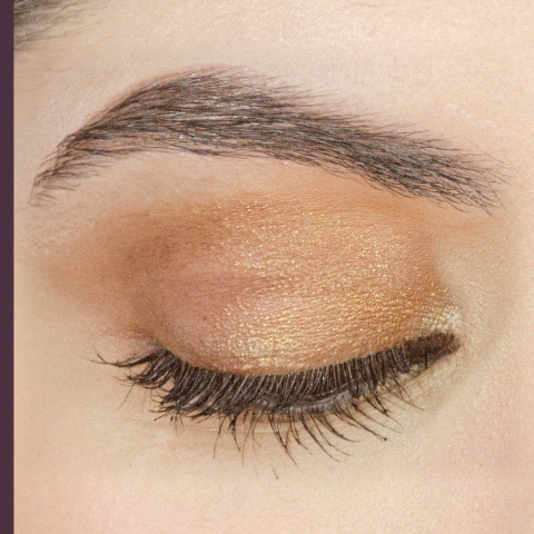 Eye Shadow Primer